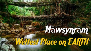 Mawsynram  Discover The Wettest Places On Earth with 39 Feet of Rain  Meghalaya Shorts [upl. by Abernathy5]