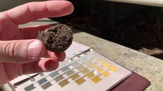 How to Use a Munsell Soil Chart [upl. by Dorina]