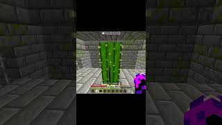 Minecraft💀minecraft pocox6pro5g battleroyalegame gaming games [upl. by Dedric]