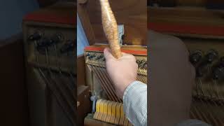 Piano Tuning in Newtown Square Delaware County PA [upl. by Sirdi973]