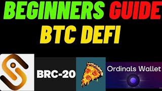 BRC20s and Ordinals for noobs [upl. by Namref153]