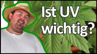 Woche 5 meines BubatzVersuchs mit Biobizz Lightmix  Bubatz mit Flol [upl. by Ahsieit]