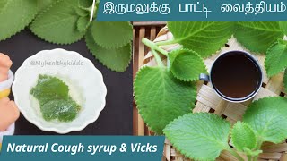 Natural cough syrup  karpooravalli kashayam  Omavalli vicks  Kashayam for cold and cough [upl. by Tasia636]