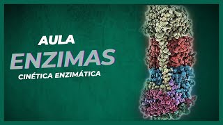 ENZIMAS  Cinética Enzimática [upl. by Gellman]