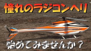 ラジコンヘリ始めてみませんか？ 究極の静演技フライトを極めるべく調整中のHIROBO EAGLE4 [upl. by Scever925]