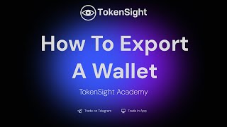 How To Export A Wallet  TokenSight Academy [upl. by Oniliuqnart]