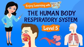 The Human Body Respiratory System  Science  Grade 5  TutWay [upl. by Sialac]