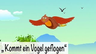 🎵 Kommt ein Vogel geflogen  Kinderlieder deutsch  Frühlingslieder  muenchenmedia [upl. by Cally375]