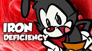 Animaniacs Iron Deficiency [upl. by Akciret17]