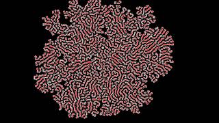 Multiple Neighborhoods Cellular Automata [upl. by Aiepoissac603]