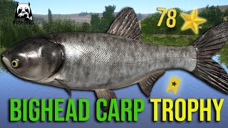 Bighead Carp Trophy 40kg at Sura River  Russian Fishing 4 rf4 [upl. by Rodger]