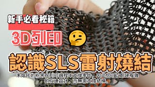 【3D列印教學】Formlabs SLS 雷射燒結3D 列印機的工作原理  Formlabs Fuse 1 生態系  流程、軟體、材料等 [upl. by Asit]