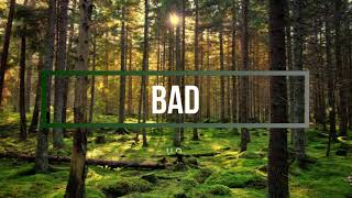 U2  Bad Lyrics [upl. by Royall772]