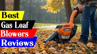 5 Best Gas Leaf Blowers in 2024 [upl. by Clellan]