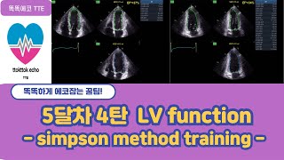 Simpson method training echocardiography 심장초음파 heart echo view simpson echo EF echo [upl. by Lienahs]