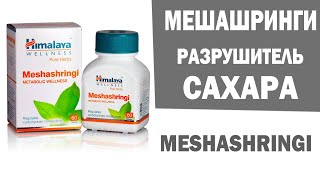 Мешашринги Meshashringi – РАЗРУШИТЕЛЬ САХАРА [upl. by Inahc]