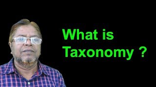 What is Taxonomy [upl. by Kenwrick]