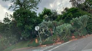 Drive around Auckland park amp Melville Johannesburg  Africa  Gauteng [upl. by Amirak241]