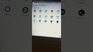 chrome os flex play store [upl. by Einittirb]