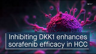 Inhibiting DKK1 enhances sorafenib efficacy in HCC [upl. by Ilocin]