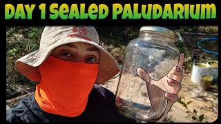 Building a Closed Paludarium Sealed Ecosphere Setup [upl. by Ahsieit]