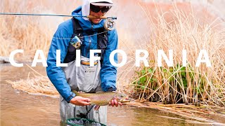 Fly Fishing Remote California fishing fish flyfishing trout troutfishing [upl. by Yeslah473]