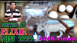 Elixir Mini Zoo different type of birds and animals are in zoo Jamshed Asmi Informative Channel [upl. by Kcirde]