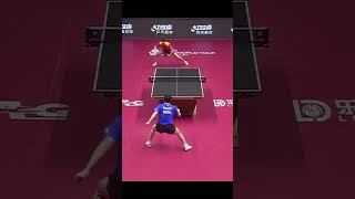 Fan Zhendong vs Wang Chuqin best point fanzhendong wangchuqin tabletennis pingpong wtt rally [upl. by Edialeda]