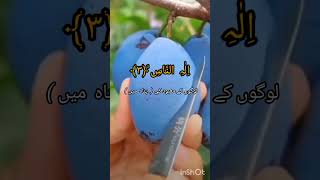 Sura Nas Tilawat with Urdu tarjama shortsvideo [upl. by Ritz]