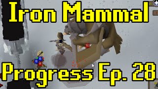 Oldschool Runescape  2007 Iron Man Progress Ep 28  Iron Mammal [upl. by Winebaum356]