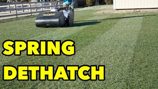 Spring Dethatching Lawn Care YES or NO [upl. by Heidy]