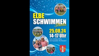 Elbe Schwimmen in Strehla 2024 [upl. by Leonore158]