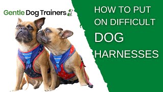 How To Put On A Dog Harness  STEP BY STEP [upl. by Baxter]