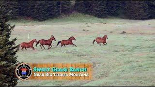 Montanas Sweet Grass Ranch [upl. by Ydroj785]