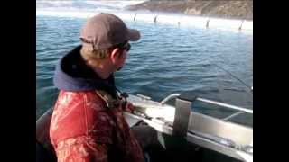 Winter Fishing at Rufus Woods Lake [upl. by Spillihp]