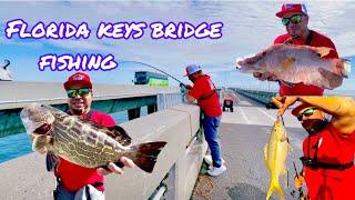 Florida keys fishing  black grouper  hog fish  yellow tail snapper  mackerel  escooter fun 🤩 [upl. by Llertnom]