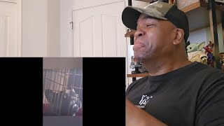 Try not to laugh CHALLENGE 53  by AdikTheOne  Reaction [upl. by Falconer]