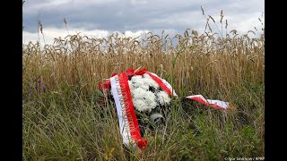 81st Anniversary of the Volhynia Tragedy Remembering the Massacres of Poles [upl. by Aveneg]