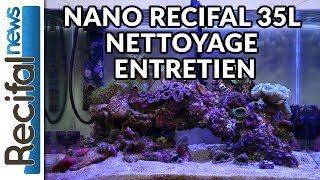 VLOG9 Axel  Nettoyage aquarium récifal nano 35L [upl. by Susana600]