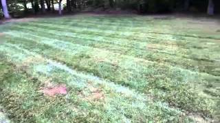 Lawn Care Rookie Quick Tip 1 Clumping fix [upl. by Ariamoy]