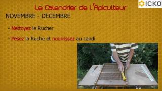 Apiculture  calendrier apicole septembre à février  Truffaut [upl. by Aland]