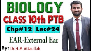 External Ear  Chapter  12  Biology Class 10th  Lec 24 [upl. by Anaihr789]