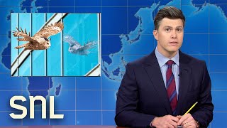 Weekend Update Flaco the Owl Dies KFC Launches Fried Chicken Pizza  SNL [upl. by Ahsakal559]