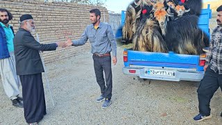 Charms of village life Babak sells old sheep and brings young goats to the village [upl. by Geiss12]