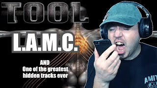 The Final TOOLday video for now quotLAMCquot and a Hidden track for the ages  REACTION [upl. by Raquel]