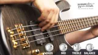 The Warwick Streamer Jazzman 4String  Product Demo with Ove Bosch [upl. by Eiryk]