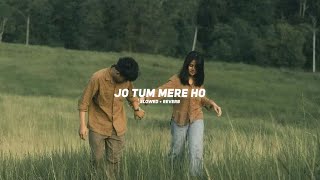 Jo Tum Mere Ho Slowed  Reverb Anuv Jain  Ameen Fahim [upl. by Olecram431]