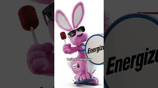 Duracell vs Energizer Bunnies 🐰🔋 [upl. by Louis]