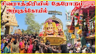 சிவராத்திரியில் தேரோடும் அற்புதக் கோயில்  Keerimalai sivan kovil thiruvizha  jaffna  Ceylon Jodi [upl. by Sheffy]