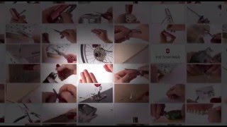 The Victorinox SwissChamp  Tools [upl. by Aday204]